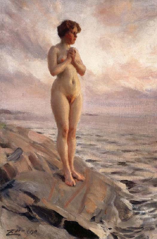 Anders Zorn Female Nude china oil painting image